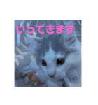 フレイヤの日常（個別スタンプ：5）