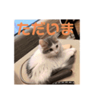 フレイヤの日常（個別スタンプ：7）