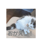 フレイヤの日常（個別スタンプ：8）