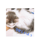 フレイヤの日常（個別スタンプ：9）