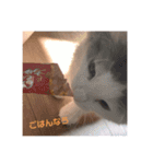 フレイヤの日常（個別スタンプ：11）