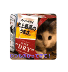 フレイヤの日常（個別スタンプ：13）