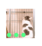 フレイヤの日常（個別スタンプ：14）