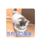 フレイヤの日常（個別スタンプ：16）