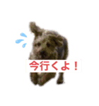 モーちん（個別スタンプ：1）