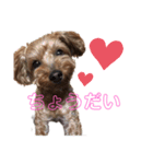 モーちん（個別スタンプ：2）
