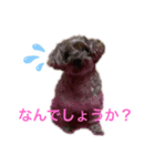 モーちん（個別スタンプ：3）