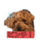 モーちん（個別スタンプ：4）