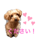 モーちん（個別スタンプ：5）