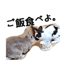 よるむとそじゅ❤️여름＆소주（個別スタンプ：14）