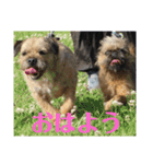 pippi＆SAKU（個別スタンプ：5）