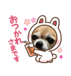 ここまめスタンプ（個別スタンプ：7）