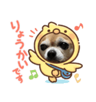 ここまめスタンプ（個別スタンプ：12）