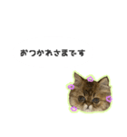 桜心和のふきだしスタンプ（個別スタンプ：1）