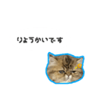 桜心和のふきだしスタンプ（個別スタンプ：3）