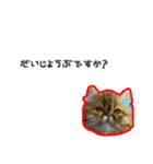 桜心和のふきだしスタンプ（個別スタンプ：9）
