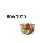 桜心和のふきだしスタンプ（個別スタンプ：10）