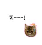 桜心和のふきだしスタンプ（個別スタンプ：15）