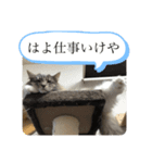 わらびとしらん2（個別スタンプ：1）