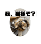 わらびとしらん2（個別スタンプ：7）