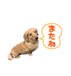 みるちゃん②（個別スタンプ：1）