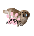 みるちゃん②（個別スタンプ：2）