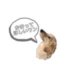 みるちゃん②（個別スタンプ：4）