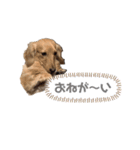 みるちゃん②（個別スタンプ：5）