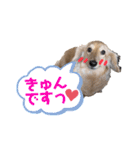 みるちゃん②（個別スタンプ：11）