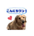 みるちゃん②（個別スタンプ：16）