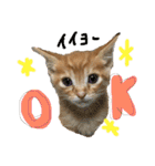 きなくんと一緒（個別スタンプ：5）