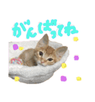 きなくんと一緒（個別スタンプ：10）