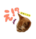 きなくんと一緒（個別スタンプ：13）