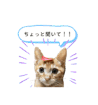 きなくんと一緒（個別スタンプ：26）