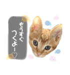 きなくんと一緒（個別スタンプ：27）