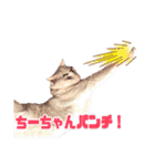 チーちゃんミラクルスタンプ（個別スタンプ：6）