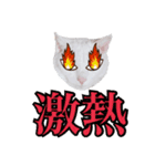 チーちゃんミラクルスタンプ（個別スタンプ：7）
