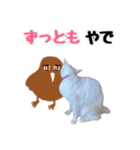チーちゃんミラクルスタンプ（個別スタンプ：11）