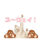 チーちゃんミラクルスタンプ（個別スタンプ：19）
