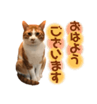 みんなのなかよし3人組（個別スタンプ：1）