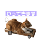 みんなのなかよし3人組（個別スタンプ：2）