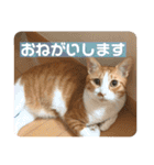 みんなのなかよし3人組（個別スタンプ：3）