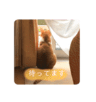 みんなのなかよし3人組（個別スタンプ：5）