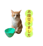 みんなのなかよし3人組（個別スタンプ：6）