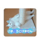 みんなのなかよし3人組（個別スタンプ：7）