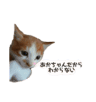 みんなのなかよし3人組（個別スタンプ：8）