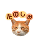 みんなのなかよし3人組（個別スタンプ：9）