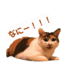 みんなのなかよし3人組（個別スタンプ：11）
