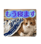 みんなのなかよし3人組（個別スタンプ：12）