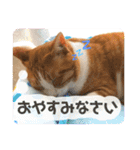 みんなのなかよし3人組（個別スタンプ：13）